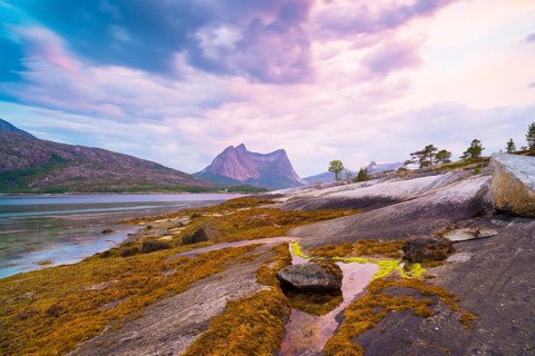Sunset over an arctic fjord in the Lofoten, Norway