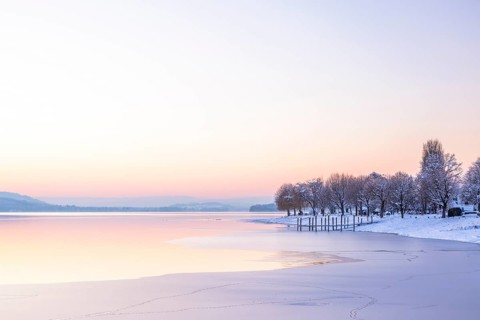 Winter landscape with snow-covered trees and frozen lake at dusk, Seegarten, Allensbach, Lake