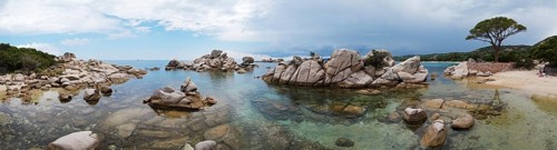 Pine tree and rock formations, Palombaggia, Tamaricciu, Corsica