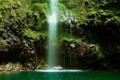 Caldeirao verde waterfall, Santana, Madeira, Portugal