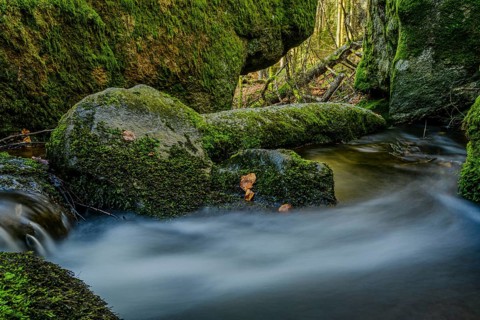 Moss-covered rocks surround a flowing stream in the forest, Höllbachtal, Upper Palatinate