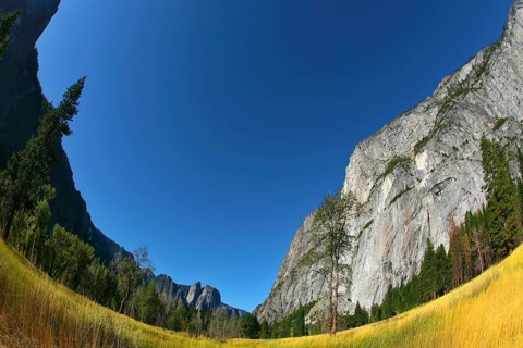 Magnificent glade with a yellow grass in valley Yosemite park, photographed by an lens Fish eye