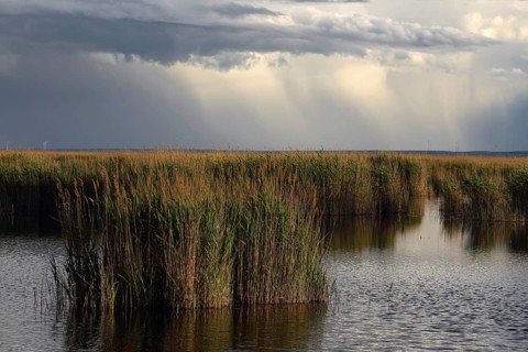 Lake Neusiedl National Park, rain front