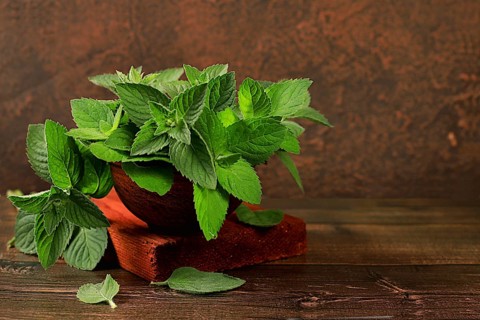 Floral composition of wild medicinal herbs, peppermint in a cup with lemon on a wooden table,