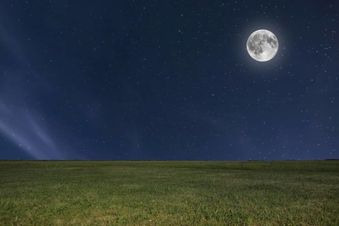 Night sky meadow background with moon and stars. Full moon