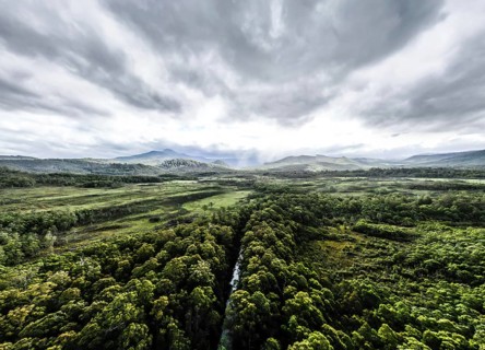 The area around Esperance River Forest Reserve on a stormy summer's day in Southwest National Park