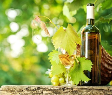 White wine bottle, glass, young vine and bunch of grapes against green spring background