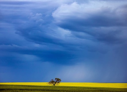 Ominous Storm Clouds Prairie Summer Rural Scene