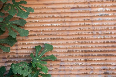 Old rusty corroded metal as abstract background texture