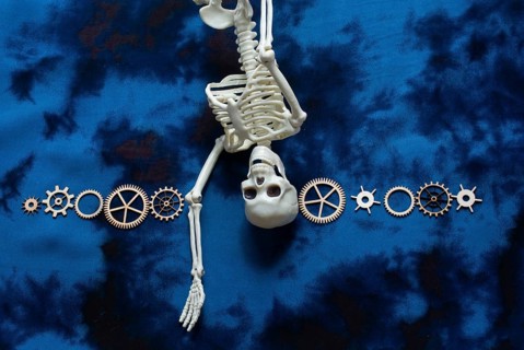 Wooden cogwheels and a artificial skeleton on fabric as concept