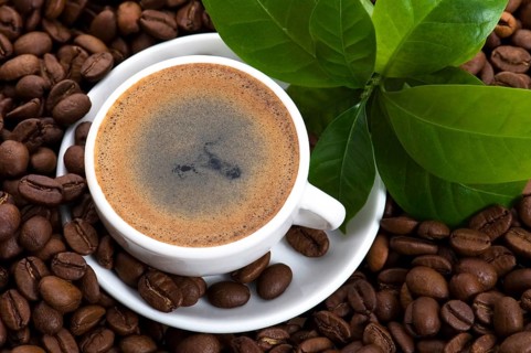 Fresh coffee with coffee branch