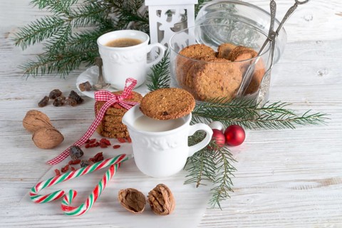 Milk and cookies for santa