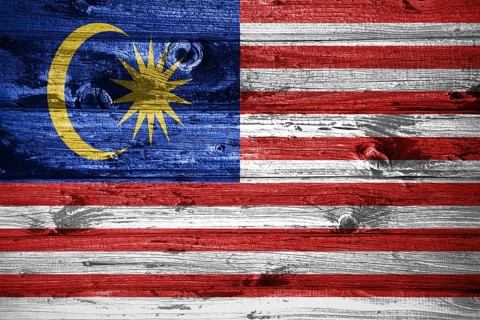 Malaysia flag on wooden planks background wood flag