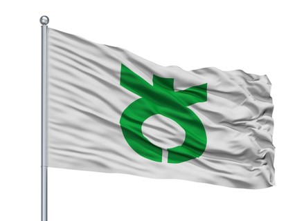 Daito City Flag On Flagpole, Country Japan, Osaka Prefecture, Isolated On White Background