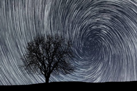 Star trails. Lonely tree