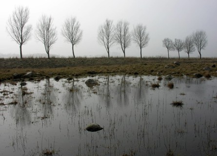 Foggy weather on the German island of Fehmarn
