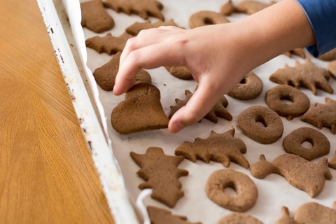 Boy picking up baked gingerbread cookie from a white plate