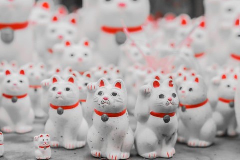 A lot of beckoning cat (Gotokuji). Shooting Location: Tokyo metropolitan area