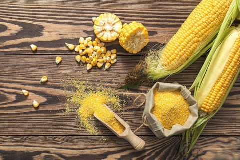 Fresh corn on cobs on rustic wooden table, top view. Dark wooden background freshly harvested
