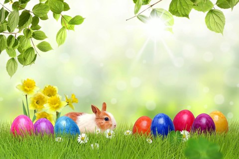 Easter 149