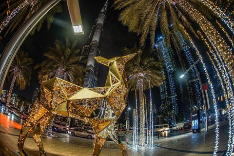 Arabian Knight in Dubai, United Arab Emirates. Shooting Location: Dubai