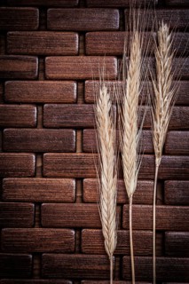 Golden wheat and rye ears on wooden matting
