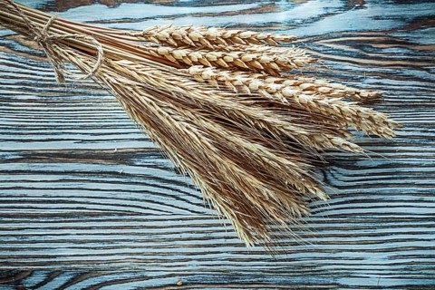 Bunch of rye ears on vintage wooden board