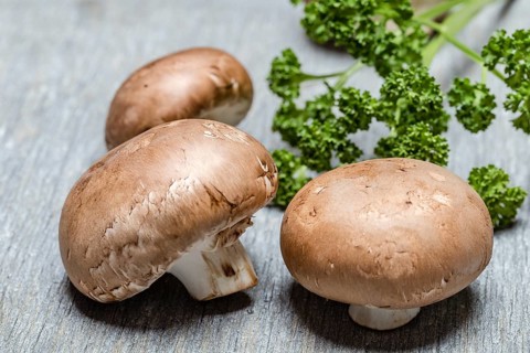 Brown champignon on grey background with parsley, close up