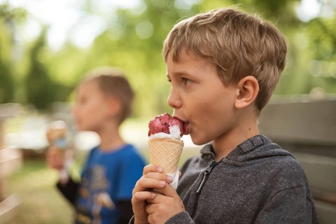 Two young boys eats ice cream in the park