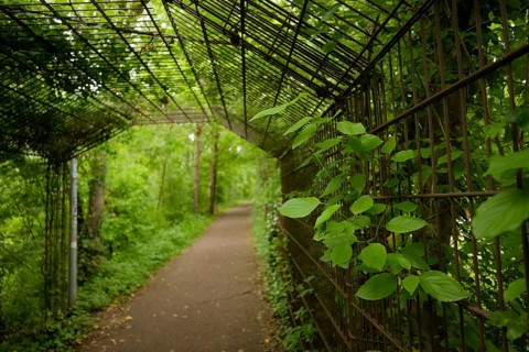 Walkway with leaf-covered pergola in spring, meadow, Kocher valley, Kocher, Schwäbisch Hall,