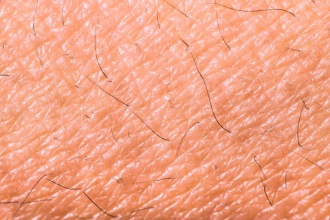 Texture of human skin. Extreme close up macro shot