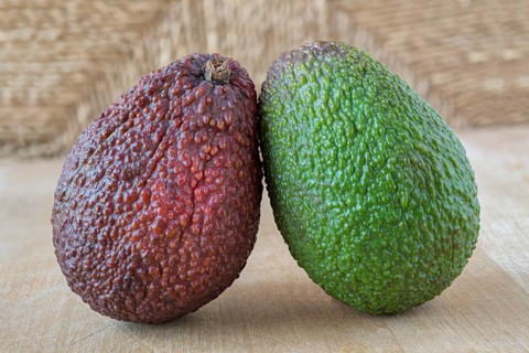 Green and red fruits on a wooden board