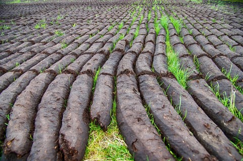 Peat extraction in East Frisia