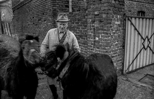 Germany, Kampehl, 01/02/1992, farmer with two horses, ponies, in Kampehl