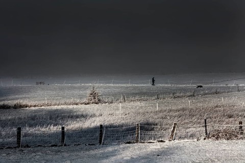 Winter walk with dog, Wesertal, Weser Uplands, Weserbergland, Hesse, Germany