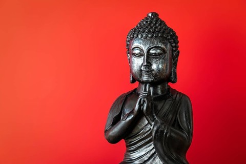 An image of a buddha statue sign for peace and wisdom