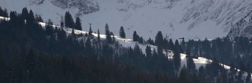 Sunny, snow-covered hill in Gsteig near Gstaad and fir forest