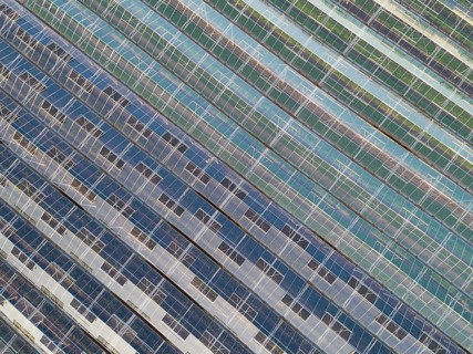 Hothouse in Chailly-en-Biere, Seine-et-Marne, Ile-de-France, France