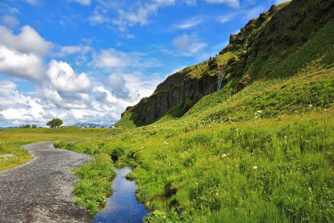 Green meadows and clear streams. The neighborhood Seljalandsfoss. Iceland in July