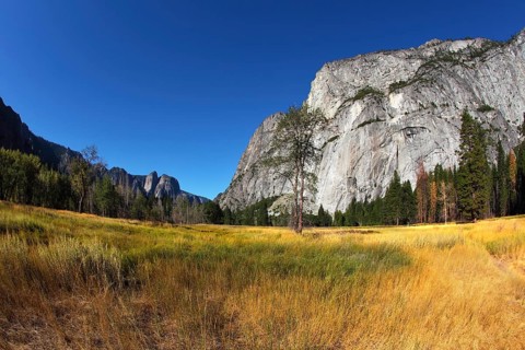 Magnificent glade with a yellow grass in valley Yosemite park. October, early morning