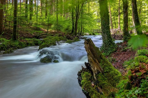 Helenenweg on the Zeller Ache near Mondsee, Austria
