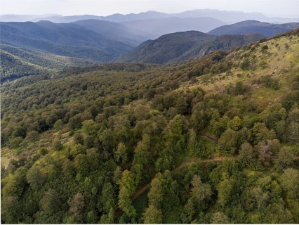 Aralar natural park, Guipuzcoa-Navarra, Spain