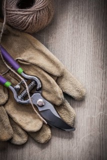 Pair of leather protective gloves sharp metal secateurs and hank of twine on wooden background