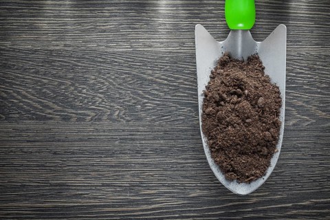 Stainless hand spade soil on wooden board