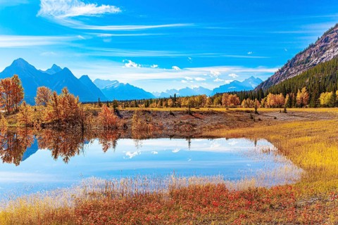 Picturesque Abraham Lake. Gorgeous Canadian autumn. Sunny day in October. The yellow and orange