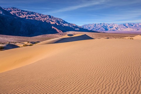 Easily accessible dunes are located along Road 190. Magical desert morning. Mesquite Flat Sand