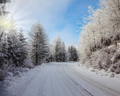 Ski track runs along the road. Solar Christmas morning in a snowy forest