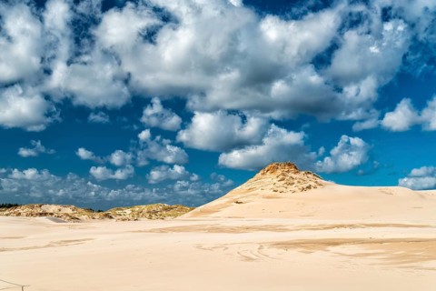 Dune landscape on the Baltic coast in Leba, Poland