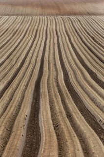 Furrows