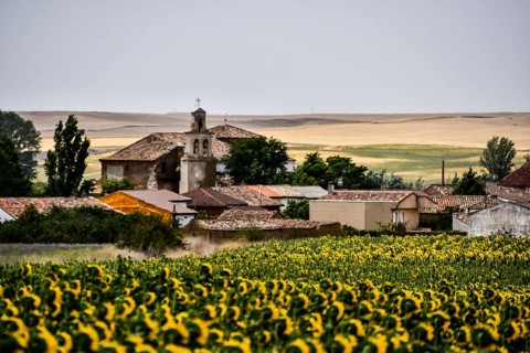 Spanish landscape view of european countryside rural area in castilla y leon burgos spain